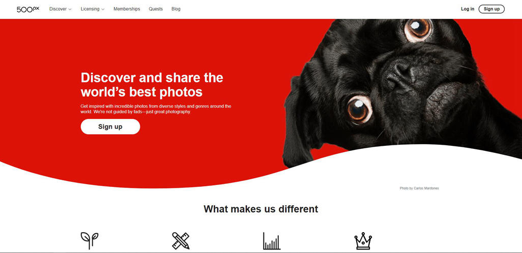 500px 